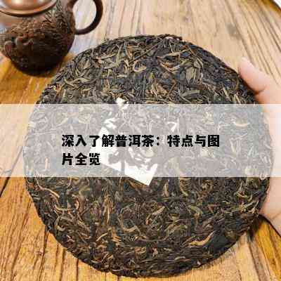 深入熟悉普洱茶：特点与图片全览