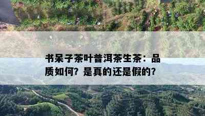 书呆子茶叶普洱茶生茶：品质怎样？是真的还是假的？