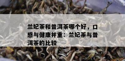 兰妃茶和普洱茶哪个好，口感与健康并重：兰妃茶与普洱茶的比较