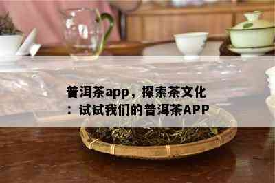 普洱茶app，探索茶文化：试试咱们的普洱茶APP