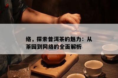 络，探索普洱茶的魅力：从茶园到网络的全面解析