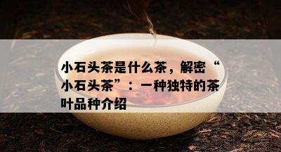 小石头茶是什么茶，解密“小石头茶”：一种特别的茶叶品种介绍