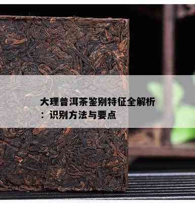 大理普洱茶鉴别特征全解析：识别方法与要点