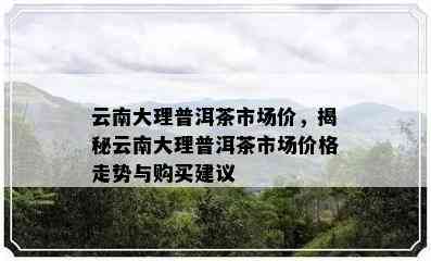 云南大理普洱茶市场价，揭秘云南大理普洱茶市场价格走势与购买建议