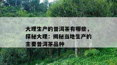 大理生产的普洱茶有哪些，探秘大理：揭秘当地生产的主要普洱茶品种