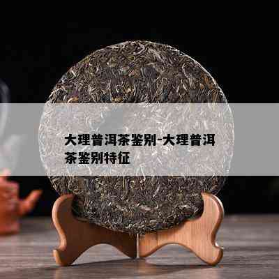 大理普洱茶鉴别-大理普洱茶鉴别特征