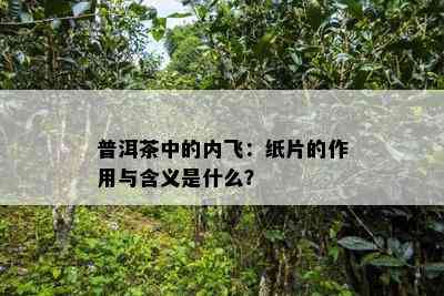 普洱茶中的内飞：纸片的作用与含义是什么？