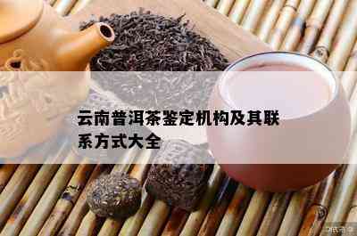 云南普洱茶鉴定机构及其联系方法大全