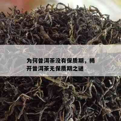 为何普洱茶没有保质期，揭开普洱茶无保质期之谜