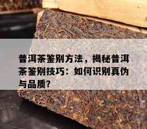 普洱茶鉴别方法，揭秘普洱茶鉴别技巧：如何识别真伪与品质？