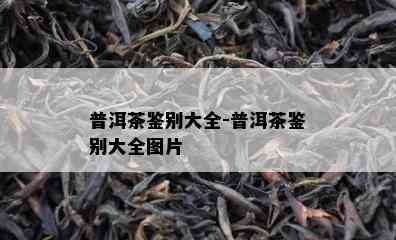 普洱茶鉴别大全-普洱茶鉴别大全图片