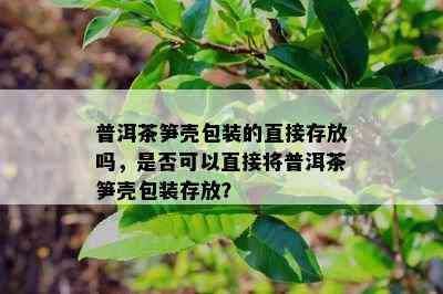 普洱茶笋壳包装的直接存放吗，是否可以直接将普洱茶笋壳包装存放？