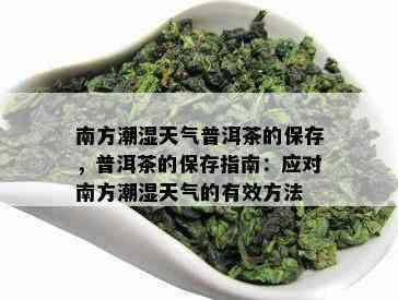 南方潮湿天气普洱茶的保存，普洱茶的保存指南：应对南方潮湿天气的有效方法