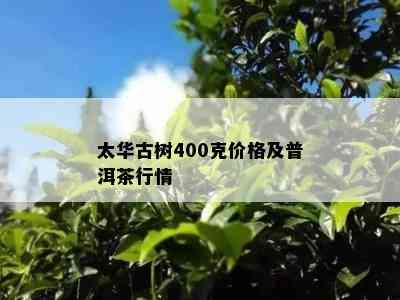 太华古树400克价格及普洱茶行情