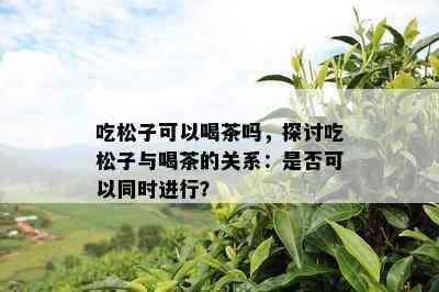 吃松子可以喝茶吗，探讨吃松子与喝茶的关系：是不是可以同时实施？