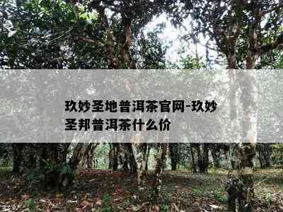 玖妙圣地普洱茶官网-玖妙圣邦普洱茶什么价