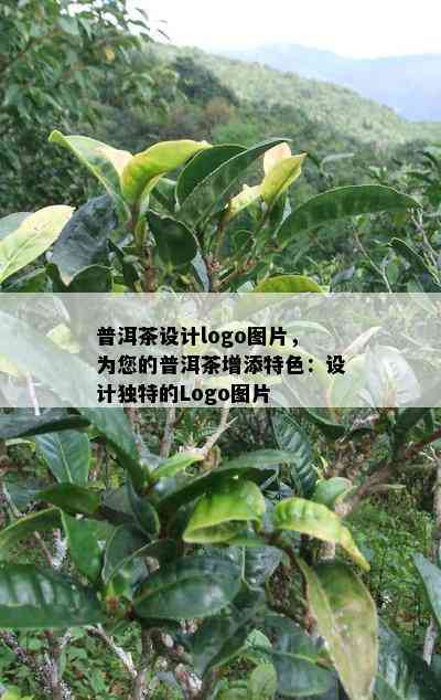 普洱茶设计logo图片，为您的普洱茶增添特色：设计特别的Logo图片