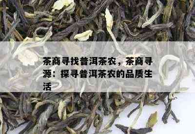 茶商寻找普洱茶农，茶商寻源：探寻普洱茶农的品质生活