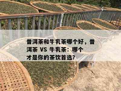 普洱茶和牛乳茶哪个好，普洱茶 VS 牛乳茶：哪个才是你的茶饮首选？