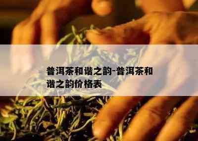 普洱茶和谐之韵-普洱茶和谐之韵价格表