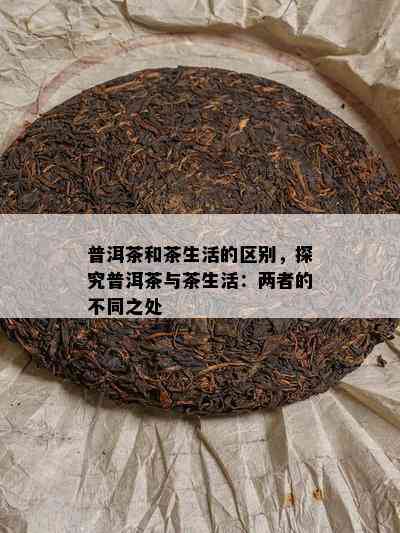 普洱茶和茶生活的区别，探究普洱茶与茶生活：两者的不同之处