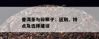 普洱茶与碎银子：区别、特点及选择建议