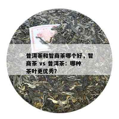 普洱茶和智商茶哪个好，智商茶 vs 普洱茶：哪种茶叶更优秀？