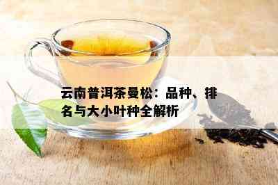 云南普洱茶曼松：品种、排名与大小叶种全解析