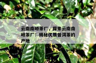 云南南峤茶厂，探索云南南峤茶厂：揭秘优质普洱茶的产地