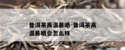 普洱茶高温暴晒-普洱茶高温暴晒会怎么样