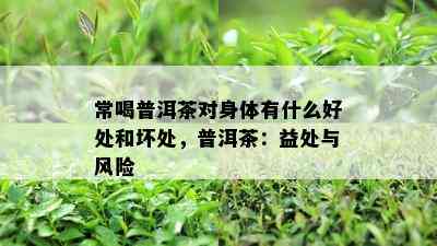 常喝普洱茶对身体有什么好处和坏处，普洱茶：益处与风险