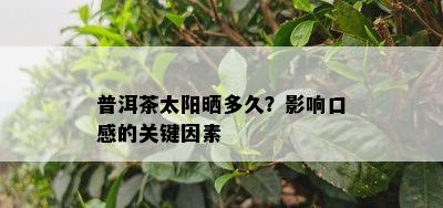 普洱茶太阳晒多久？作用口感的关键因素