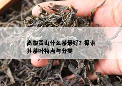 高黎贡山什么茶更好？探索其茶叶特点与分类