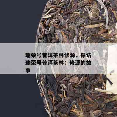 瑞荣号普洱茶林修源，探访瑞荣号普洱茶林：修源的故事