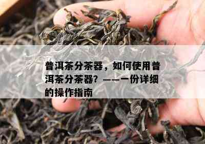 普洱茶分茶器，怎样采用普洱茶分茶器？——一份详细的操作指南