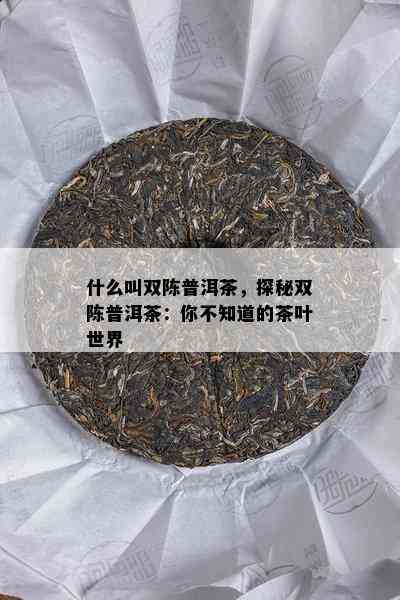 什么叫双陈普洱茶，探秘双陈普洱茶：你不知道的茶叶世界