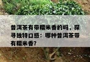 普洱茶有带糯米香的吗，探寻独特口感：哪种普洱茶带有糯米香？