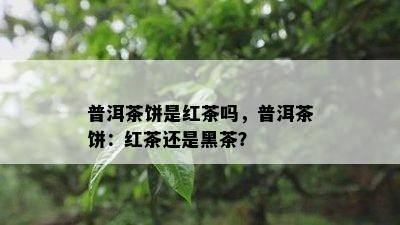 普洱茶饼是红茶吗，普洱茶饼：红茶还是黑茶？