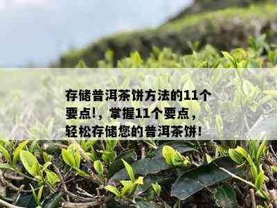 存储普洱茶饼方法的11个要点!，掌握11个要点，轻松存储您的普洱茶饼！