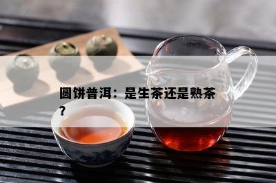 圆饼普洱：是生茶还是熟茶？