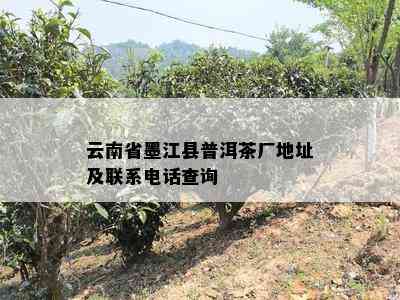 云南省墨江县普洱茶厂地址及联系电话查询