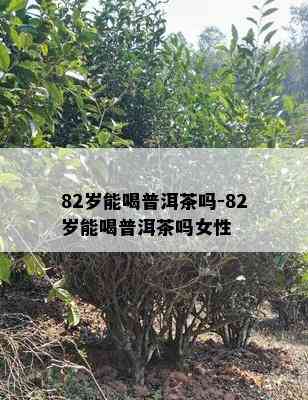 82岁能喝普洱茶吗-82岁能喝普洱茶吗女性