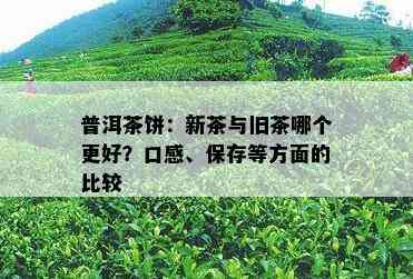 普洱茶饼：新茶与旧茶哪个更好？口感、保存等方面的比较