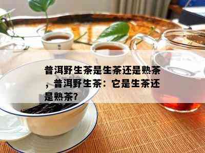 普洱野生茶是生茶还是熟茶，普洱野生茶：它是生茶还是熟茶？