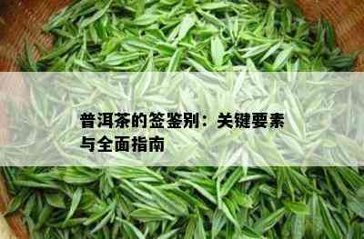 普洱茶的签鉴别：关键要素与全面指南