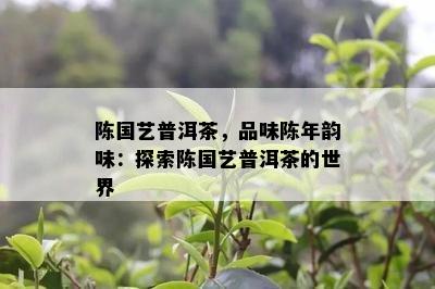 陈国艺普洱茶，品味陈年韵味：探索陈国艺普洱茶的世界