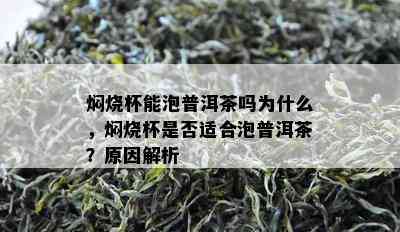 焖烧杯能泡普洱茶吗为什么，焖烧杯是否适合泡普洱茶？原因解析