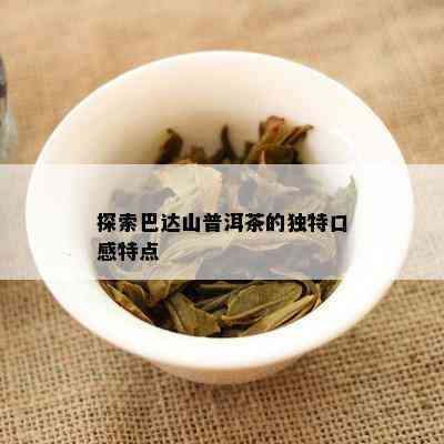 探索巴达山普洱茶的特别口感特点