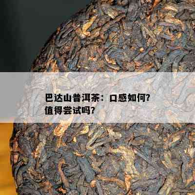 巴达山普洱茶：口感怎样？值得尝试吗？