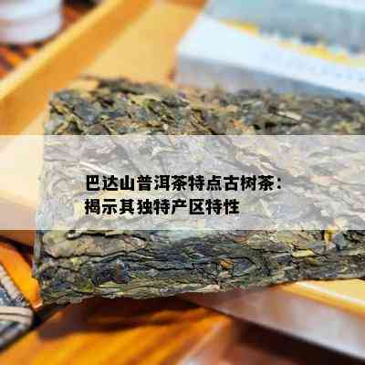 巴达山普洱茶特点古树茶：揭示其特别产区特性